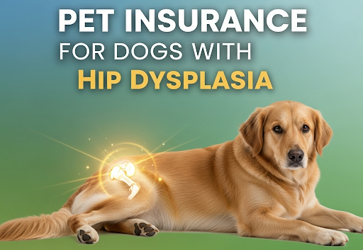 Best Pet Insurance for Dogs with Hip Dysplasia: Complete Guide (2025)