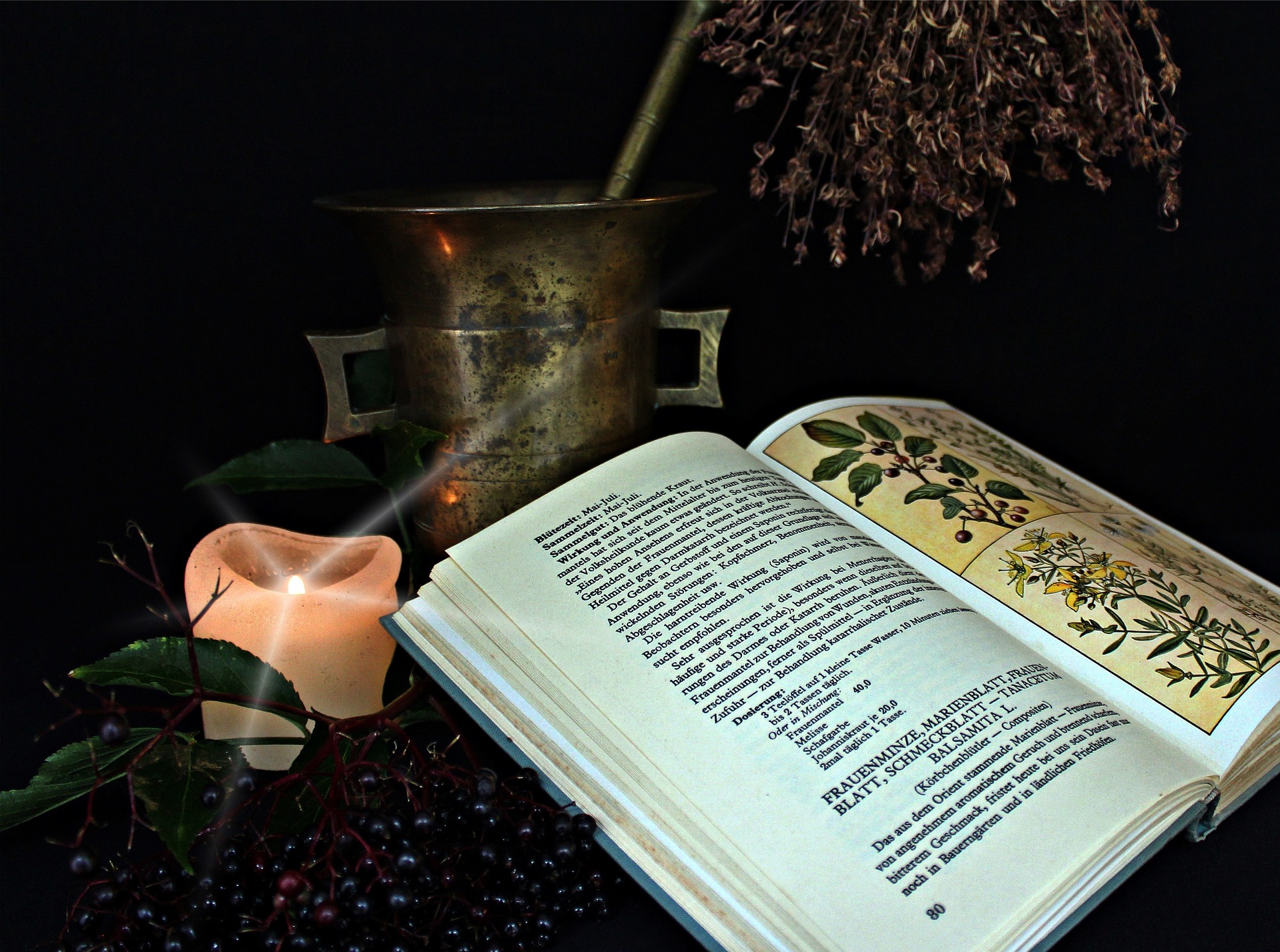 Lesser-Known Medicinal Herbs and Their Uses