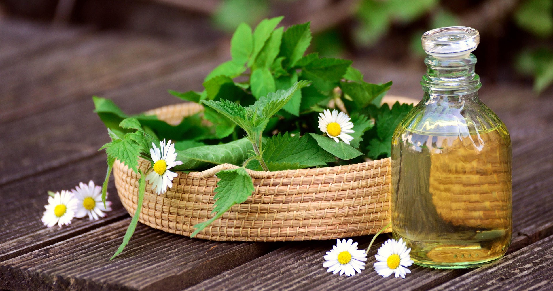 Herbal Remedies on a Budget: Affordable Natural Healing