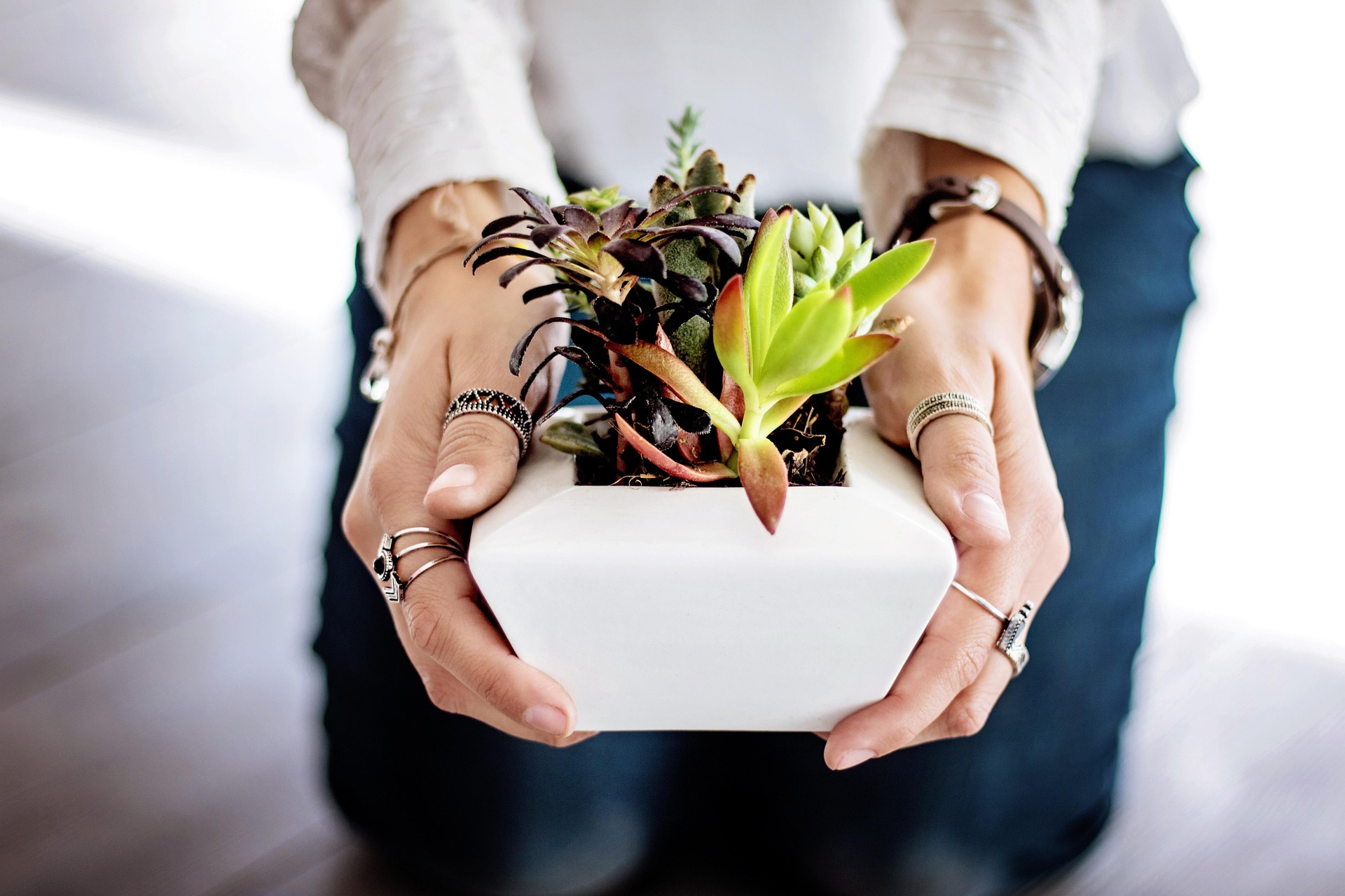 Uncommon Herbs You Can Easily Grow at Home