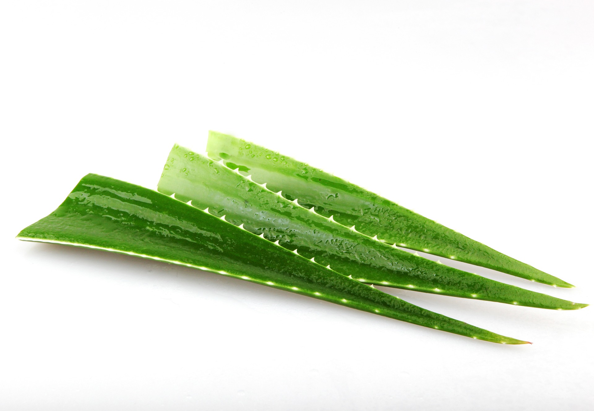 Beginner’s Guide to Making Your Own Herbal Remedies