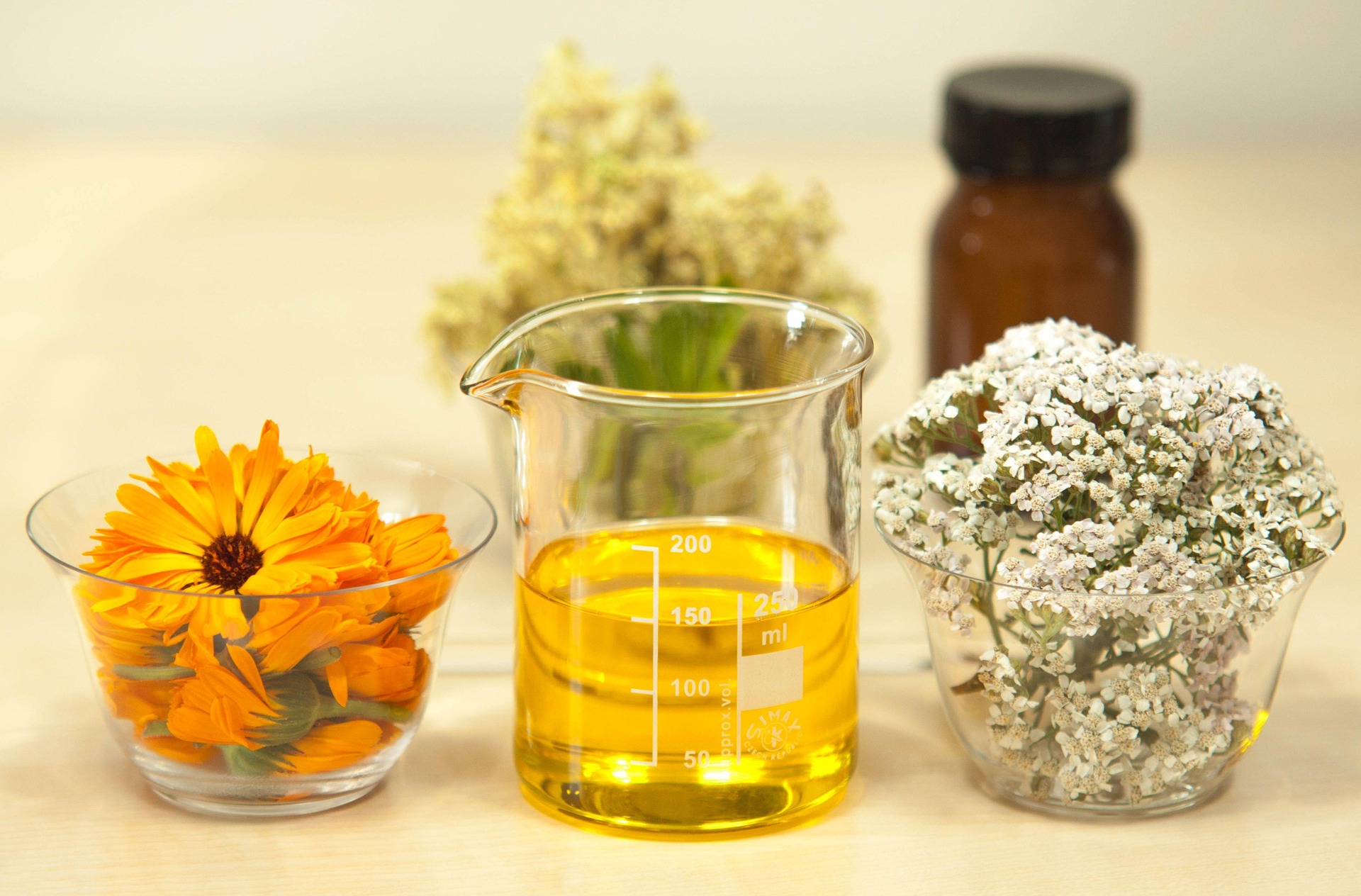 Simple Herbal Remedies for Everyday Ailments