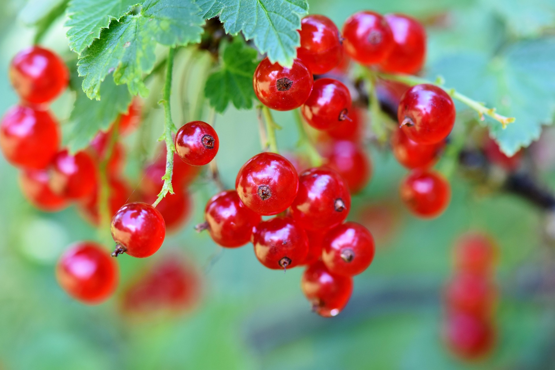 Seasonal Wellness: Staying Healthy Through Every Season